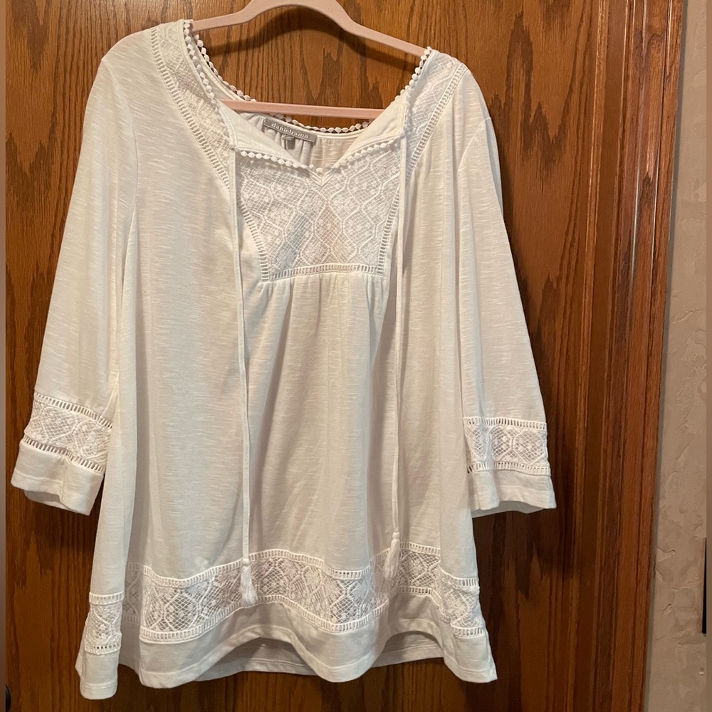 Danielrainn 2X tunic length top. Stunning details at hem,collar, & sleeves. EUC